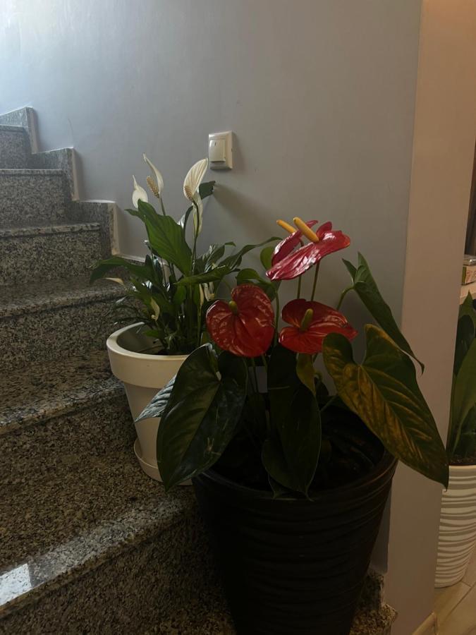 Villa Residence Kvariati Eksteriør billede